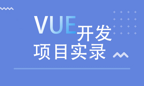 VUE开发项目实录