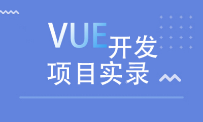 VUE开发项目实录